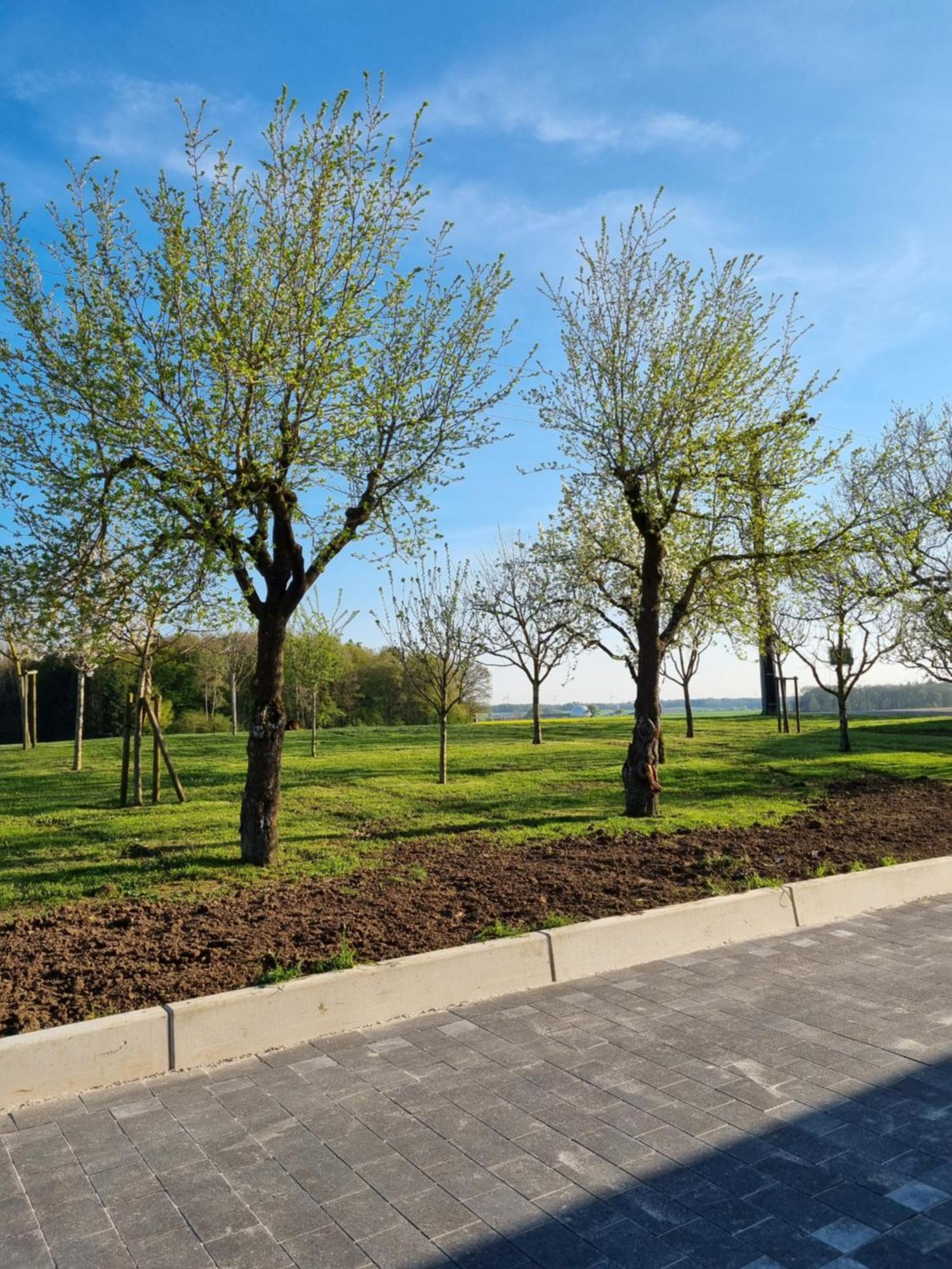 Eiselehof In Alleinlage Апартаменты Рот-ам-Зее