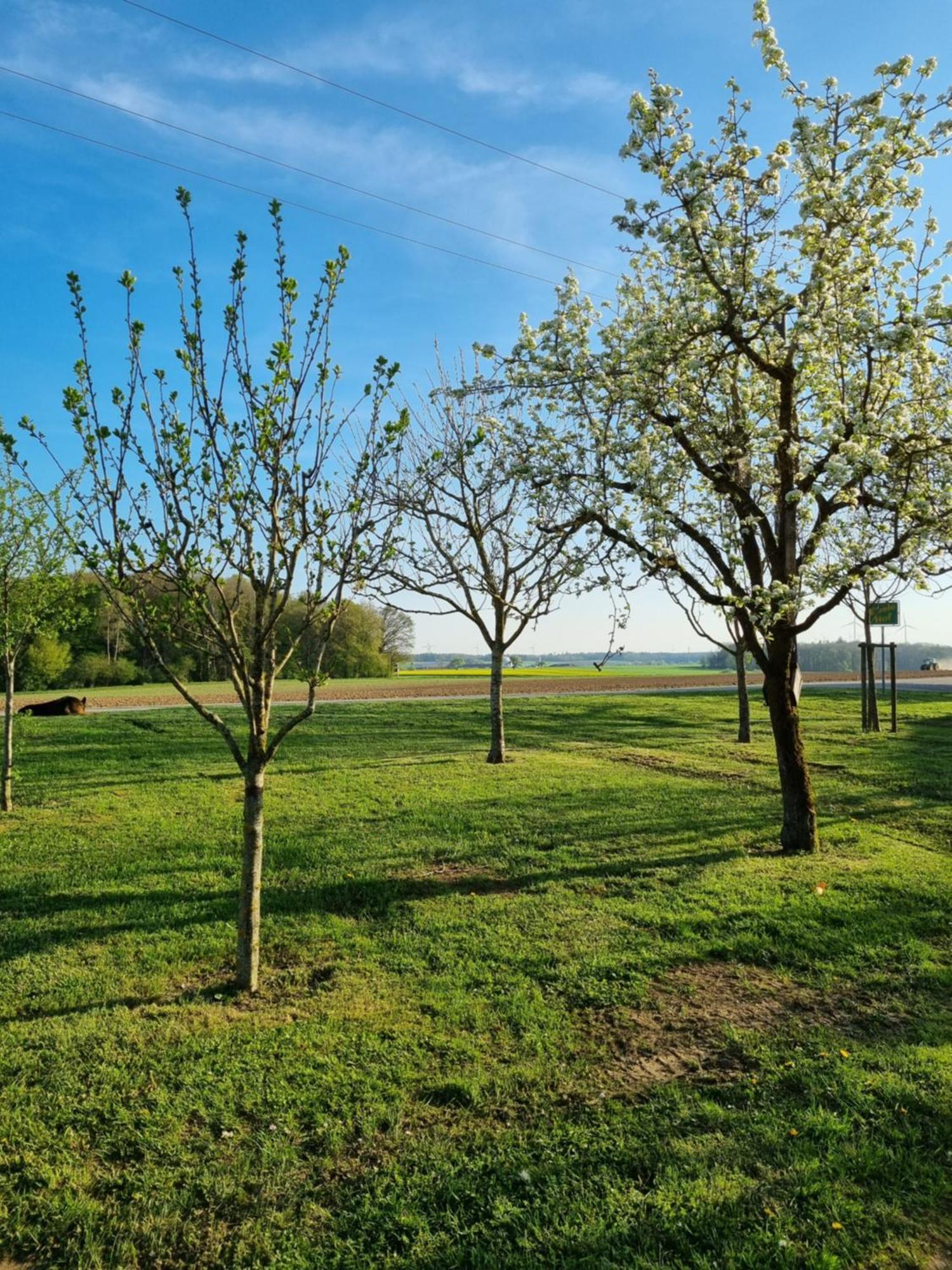 Eiselehof In Alleinlage